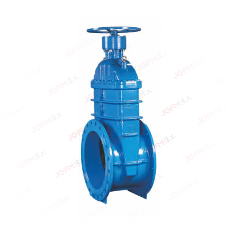 手動大口徑閘閥